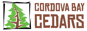 raffle logo